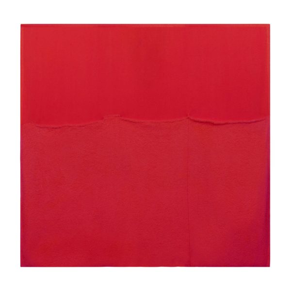 Versatile Throw Blanket - Image 28